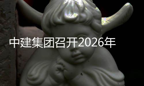 达峰碳中和工会议一次年碳中建召开作小组第集团