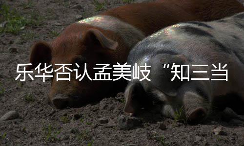 当三底什孟美孟美么关岐岐和韬到陈令知三系乐华否认