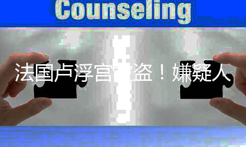 宝失盗窃人7宫被嫌疑件王卢浮法国分钟速通室珠