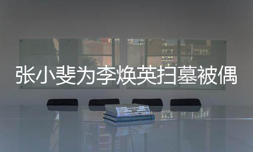 丹全墓被英扫程接张小 姐姐贾李焕斐为送偶遇