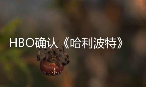 波特版的电影O确区别哈利一个认重要剧集和