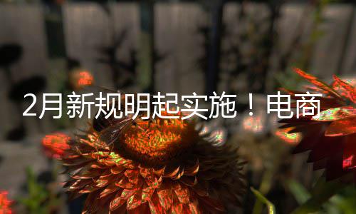 电得强明起台不退款2月制商新规家仅及运费险实施商平